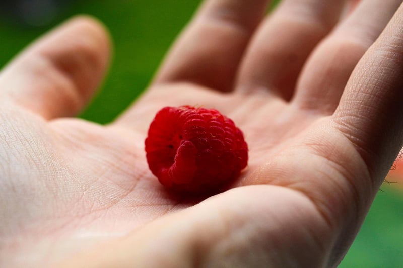 Mindfulness and Breathwork Practices
